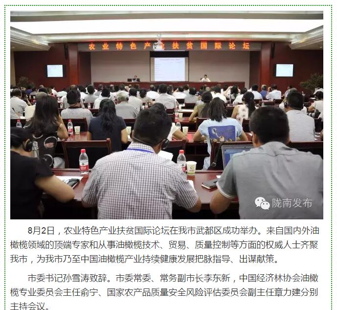 大腕齊聚農(nóng)業(yè)特色產(chǎn)業(yè)扶貧國(guó)際論壇，“把脈”隴南油橄欖發(fā)展