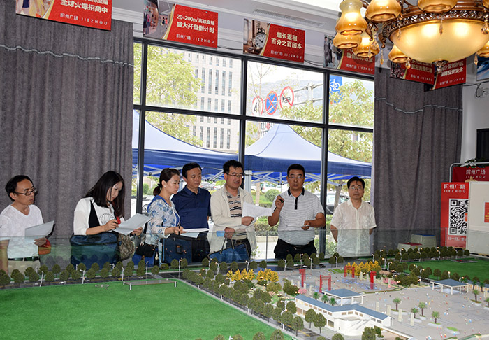 省、市聯(lián)合工作組蒞臨階州廣場檢查指導(dǎo)工作