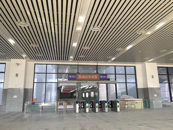 全國、省市政協(xié)委員體驗(yàn)蘭渝鐵路、視察階州廣場