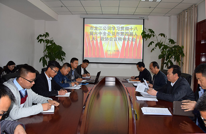 市龍江公司召開(kāi)全體員工大會(huì)，專(zhuān)題傳達(dá)學(xué)習(xí)上級(jí)會(huì)議精神