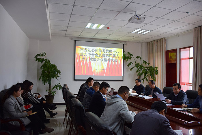 市龍江公司召開(kāi)全體員工大會(huì)，專(zhuān)題傳達(dá)學(xué)習(xí)上級(jí)會(huì)議精神