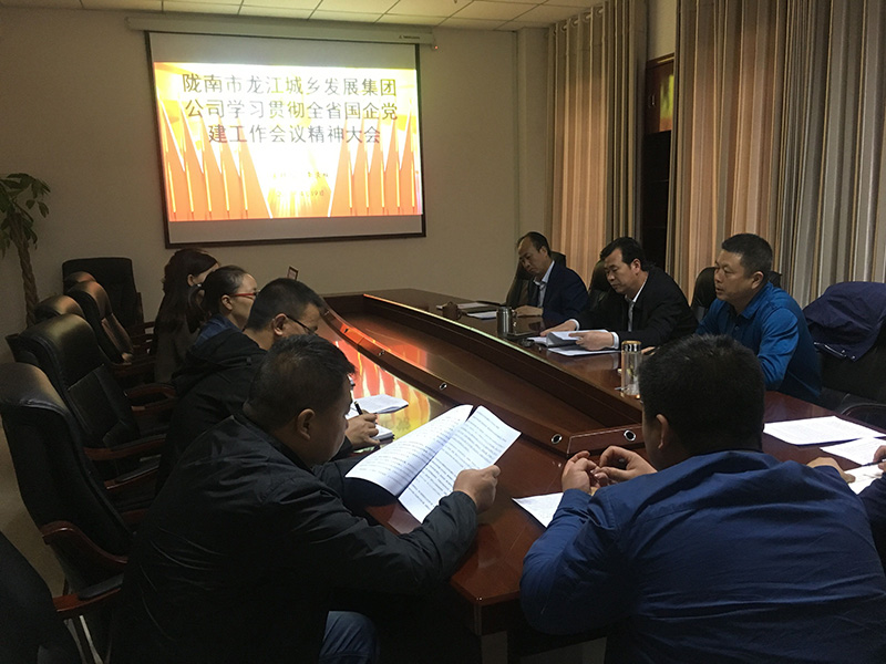 市龍江城鄉(xiāng)發(fā)展集團公司召開全省 國有企業(yè)黨的建設(shè)工作會議精神學(xué)習(xí)會議